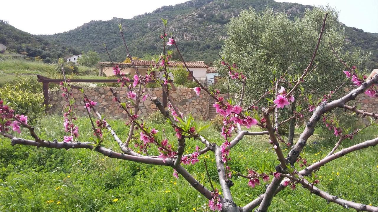 La Casetta Rosa Tertenìa Exterior foto